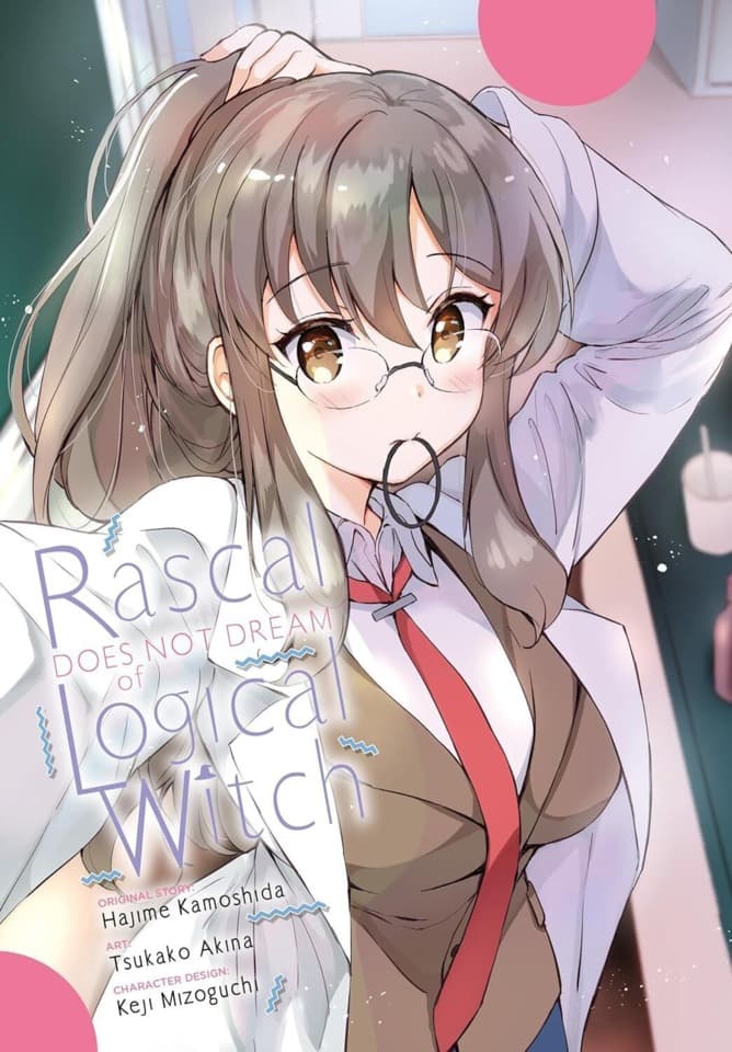 Rascal Does Not Dream of Logical Witch