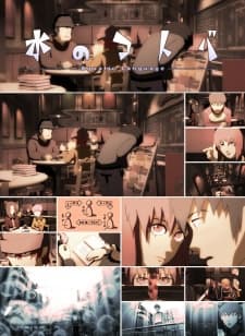DVD Edition