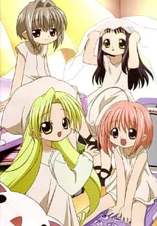 DVD Edition