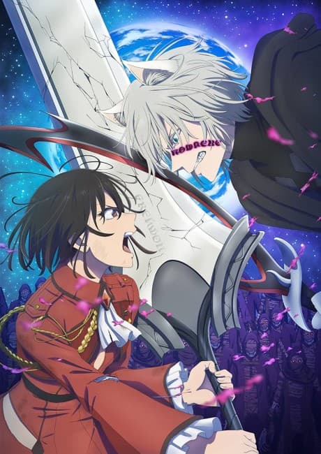 DVD Edition
