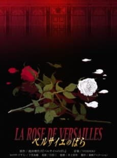 DVD Edition