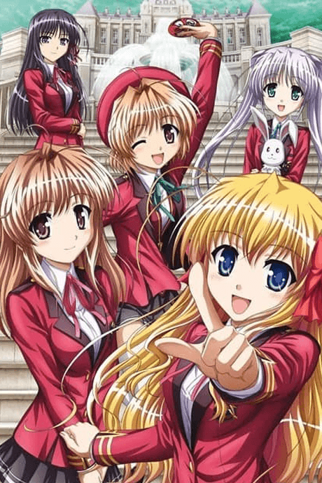 DVD Edition