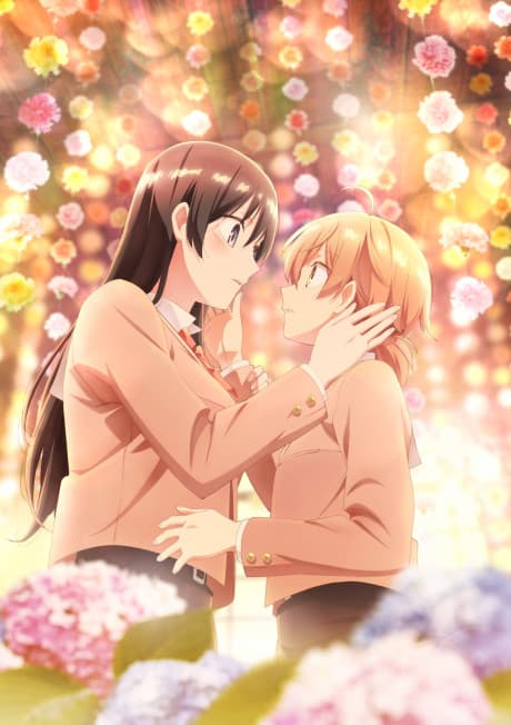 Bloom Into You - Complete Collection [Limited Edition] (Blu-ray)