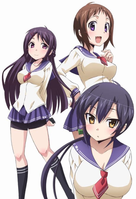 DVD Edition