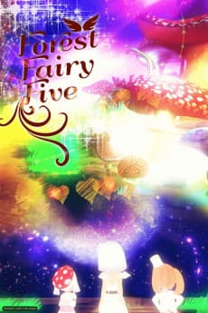 DVD Edition