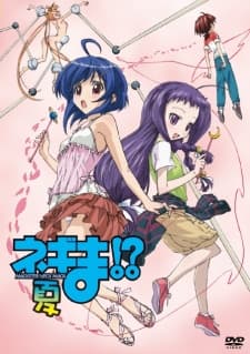 DVD Edition