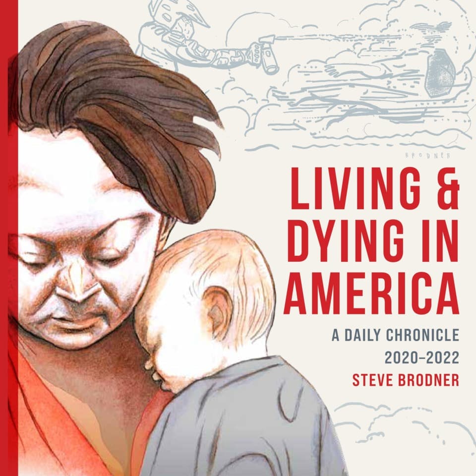 Living & Dying in America: A Daily Chronicle 2020-2022