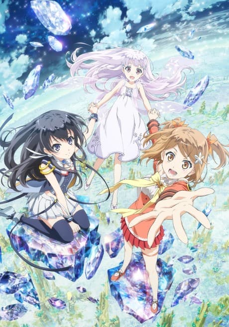 DVD Edition