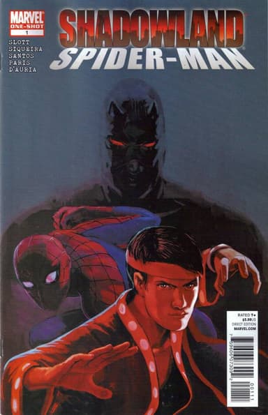Shadowland: Spider-Man