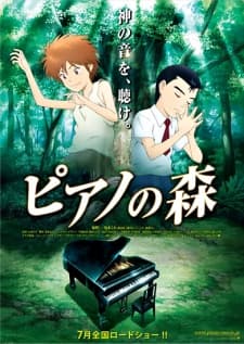 DVD Edition