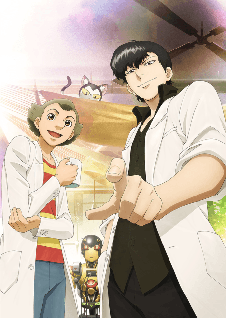 DVD Edition