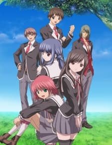 DVD Edition