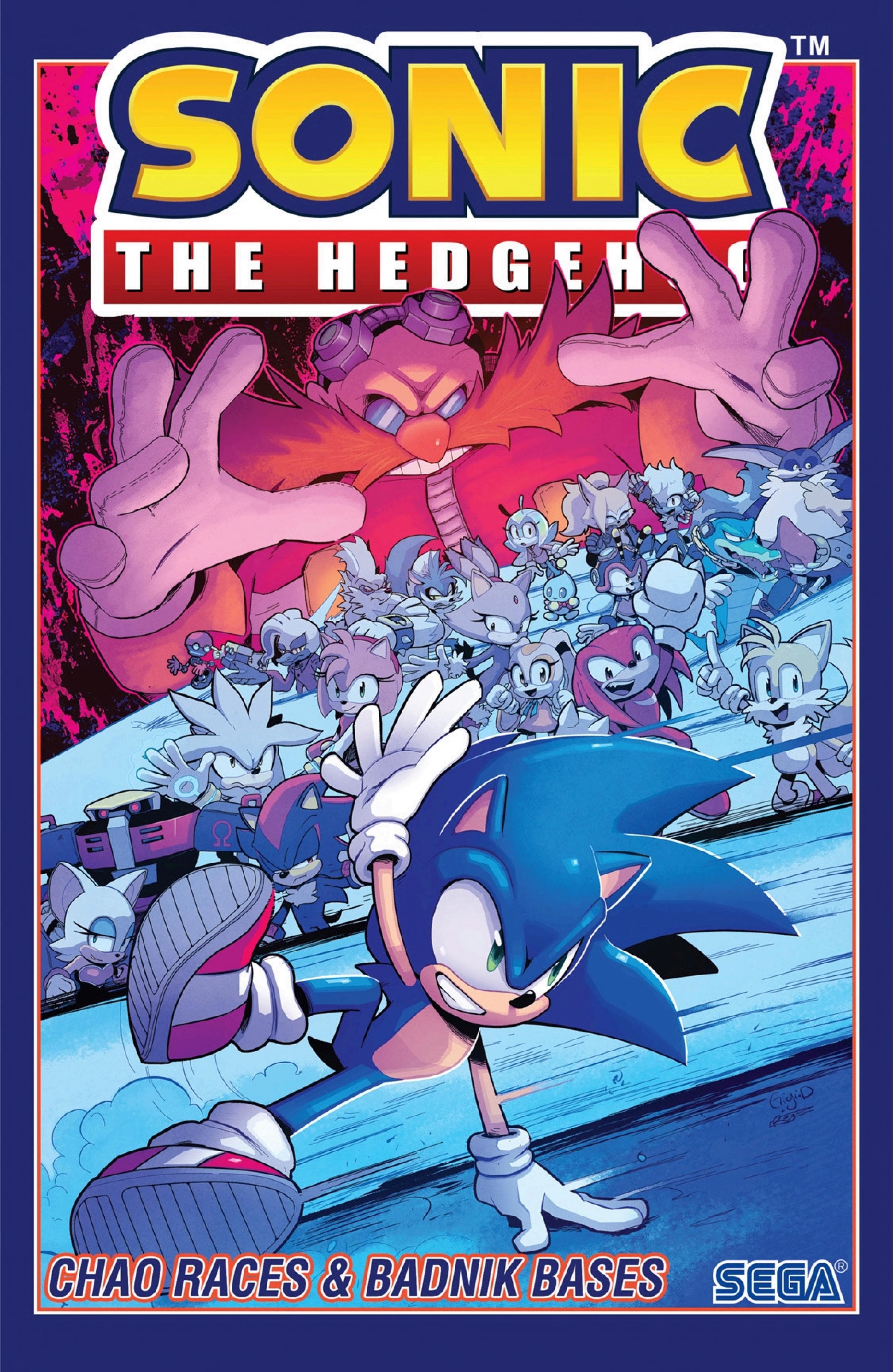 Sonic The Hedgehog, Vol. 9: Chao Races & Badnik Bases