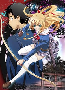 DVD Edition