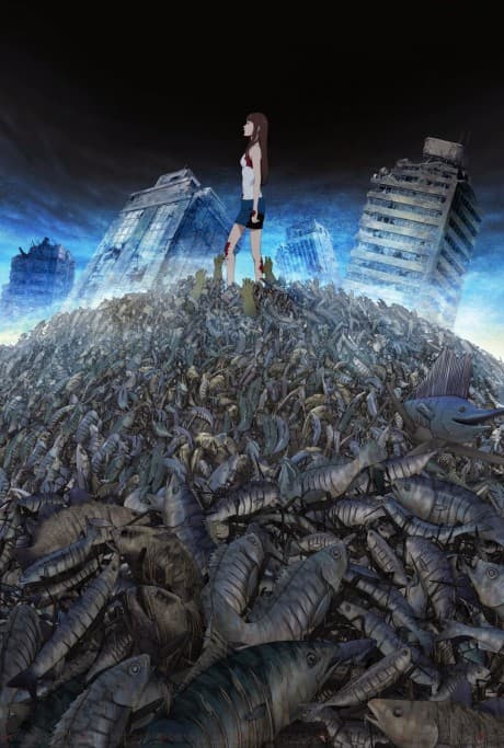 DVD Edition