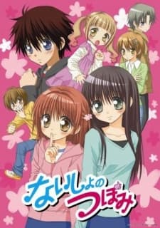 Naisho no Tsubomi - Complete Collection (Sub.DVD)