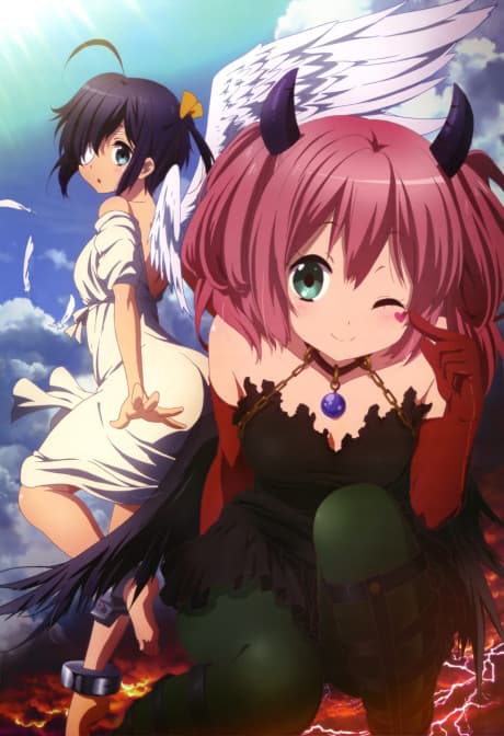 DVD Edition