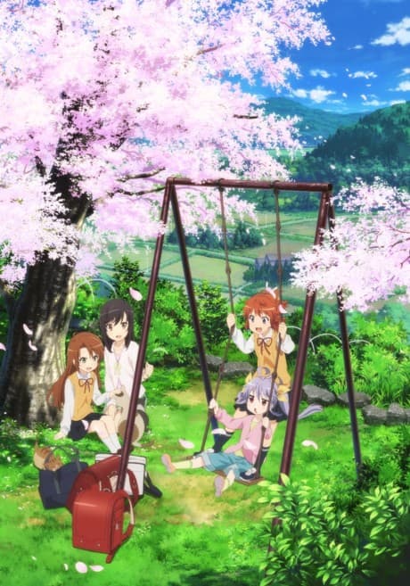 DVD Edition