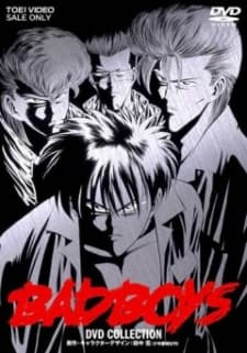 DVD Edition