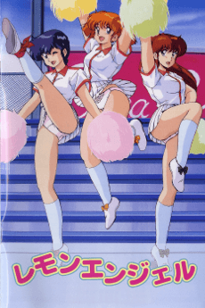 DVD Edition