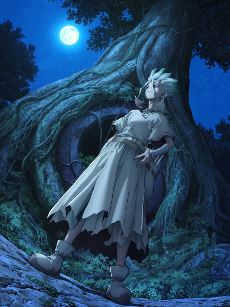 Dr. Stone - Season One (DVD)