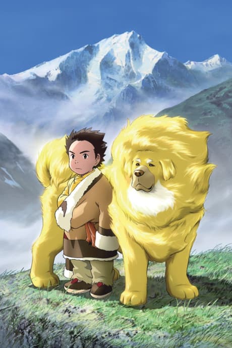 DVD Edition