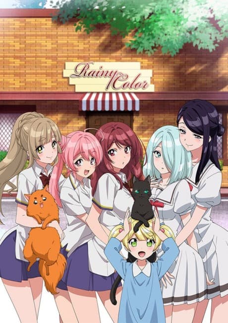 DVD Edition