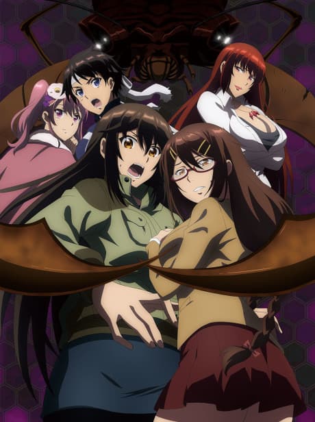 DVD Edition