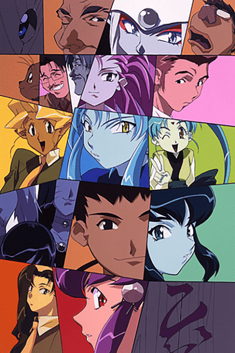 DVD Edition