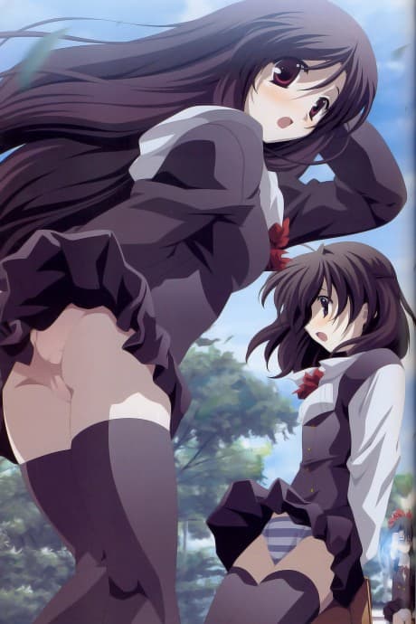DVD Edition