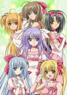 DVD Edition