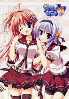 Complete Collection