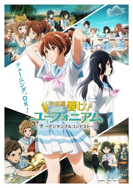 DVD Edition