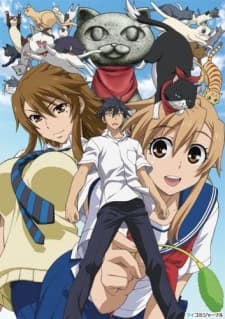 Nyan Koi! - Complete Collection (Sub.DVD)
