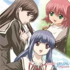 DVD Edition