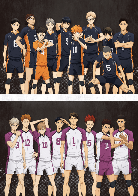 Haikyu!! 3rd Season - Complete Collection (DVD)