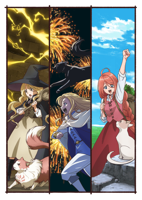 DVD Edition