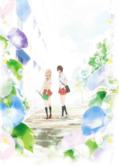 DVD Edition
