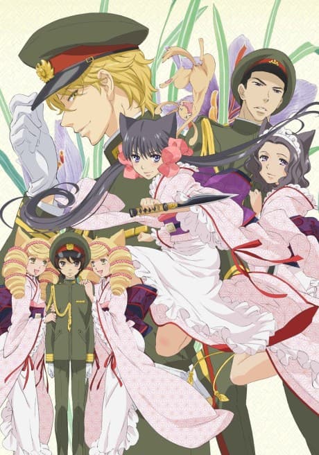DVD Edition