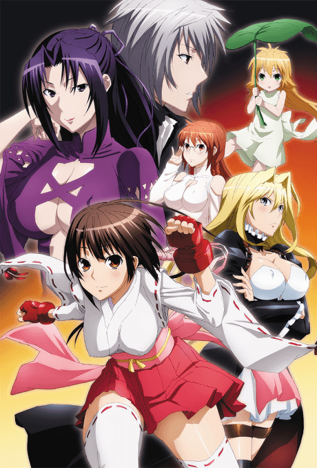 Sekirei + Sekirei: Pure Engagement (Seasons 1 & 2) [Anime Classics] (BD+DVD)