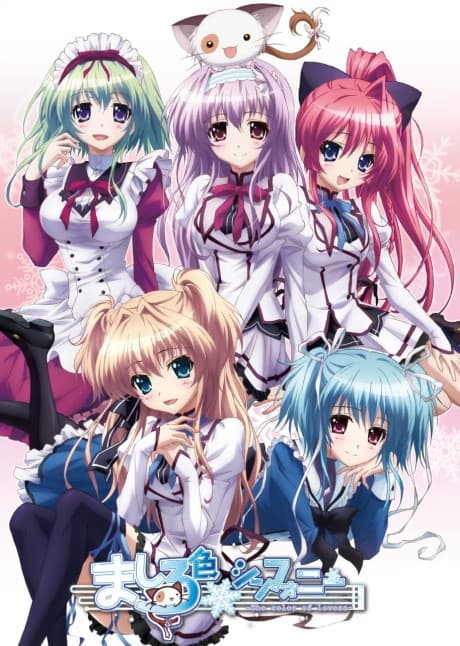 DVD Edition