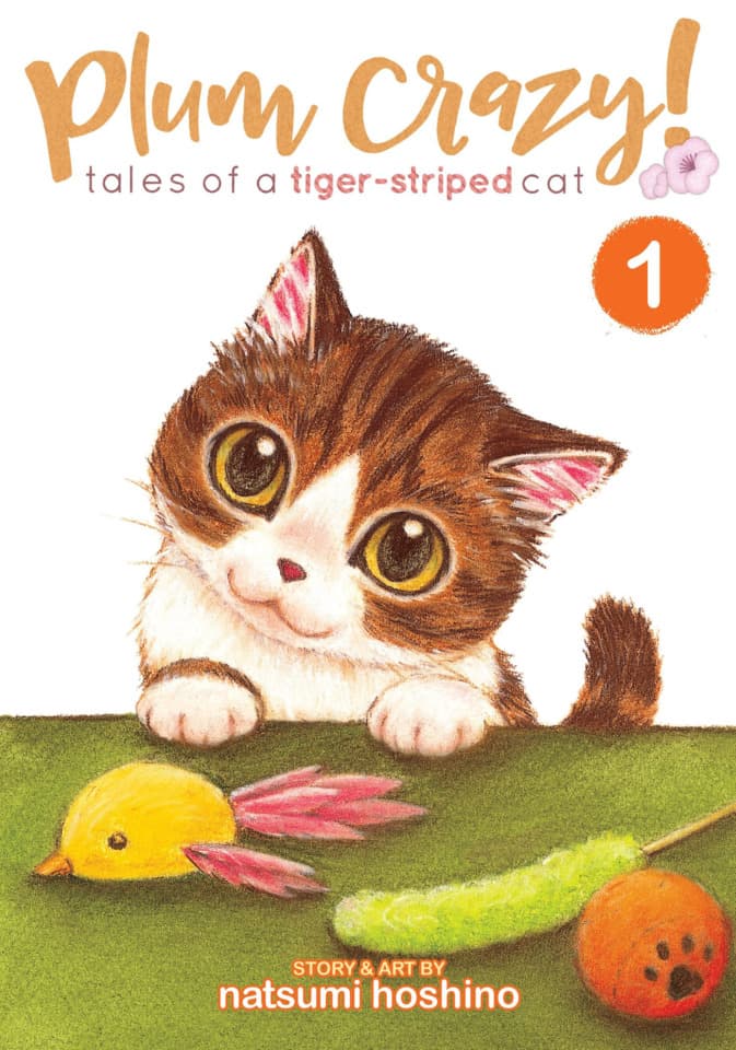 Plum Crazy! Tales of A Tiger-Striped Cat