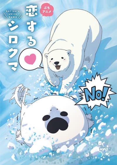 DVD Edition
