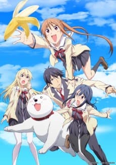 Aho Girl - The Complete Series (Sub.Blu-ray)