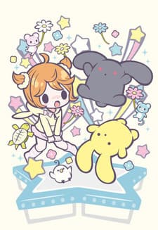 DVD Edition
