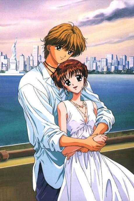 DVD Edition