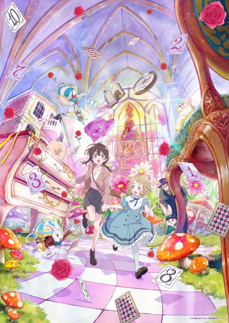 DVD Edition