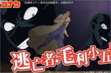 DVD Edition