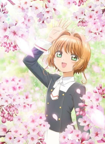 DVD Edition