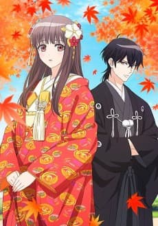 DVD Edition